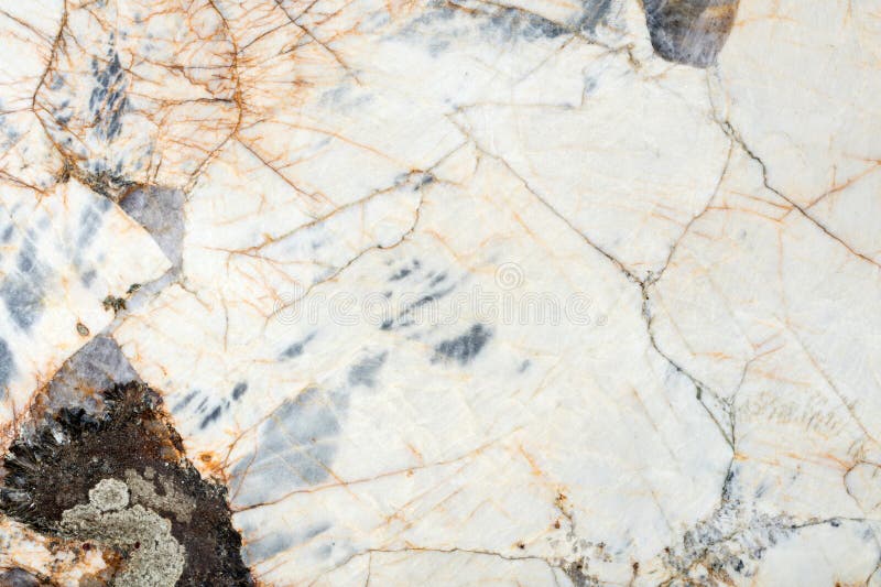 Die faszinierende Welt des Lichttons: Eine Symbiose von Licht und Ton